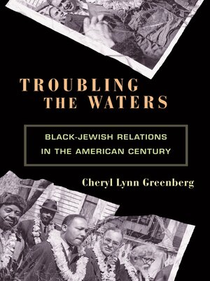 cover image of Troubling the Waters